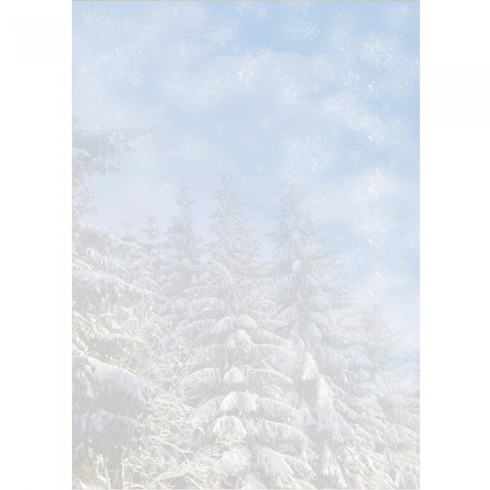 Weihnachtsmotiv Papier Winterwald 100 Blatt